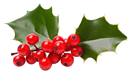 Wall Mural - png cherry plant holly berry.