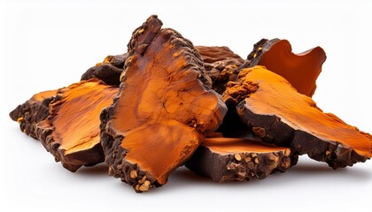 Isolated pieces of Chaga mushroom on a white background.