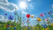 © kinara art design - A field of colorful wildflowers reach for the sun on a bright summer day.
