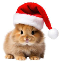 Poster - PNG Christmas animal image mammal rodent pet.