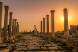 The row of Roman columns at the Al Mina archeological site at Tyre (Sour), Lebanon during the beautiful sunset.
