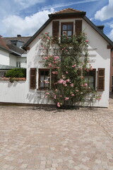 Wall Mural - Historischer Altstadt in Euerdorf, Landkreis Bad Kissingen, Unterfranken, Bayern, Franken, Deutschland