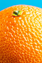 Wall Mural - Macro shot of the texture of a kumquats skin showcasing the bright orange surface with smooth texture and tiny pores 