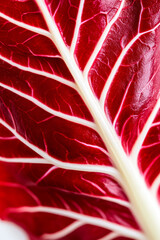 Sticker - Macro shot of the texture of a radicchio leaf highlighting the deep red surface with white veins 