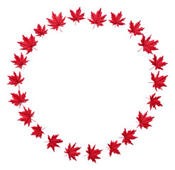 Wall Mural - PNG Little red maple leaf circle border plant art accessories.