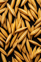 Wall Mural - Macro shot of the texture of horse oats highlighting the golden elongated grains with smooth firm texture 