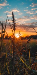 Sticker - Silhouette Of Grass Against Sunset