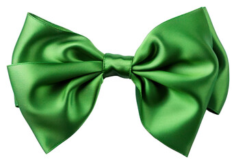 Canvas Print - PNG Jewelry green bow white background.