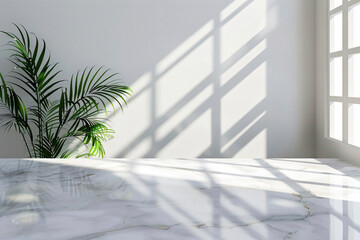 Poster - White Marble Tabletop with Sunlight and Plant.