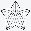 © Jannatul - Exquisite Starfruit Line Art, Elegant and Detailed Illustrations
