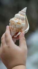 Poster - Child's Hand Holding Seashell.