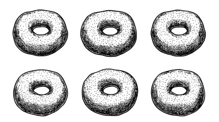 Cake donuts with textured surface and no glaze, vector illustration art