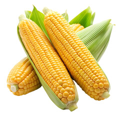 Wall Mural - corn