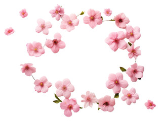 Sticker - PNG Blossom flower petal plant.