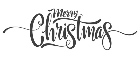 Wall Mural - Merry Christmas vector text  hand drawn Calligraphic Lettering Font