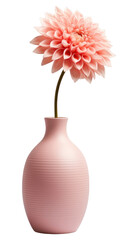 Canvas Print - PNG Ceramic vase flower dahlia plant.