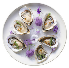 Sticker - PNG Oyster plate seafood invertebrate.