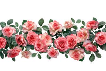 Canvas Print - PNG Elegant pink roses floral arrangement