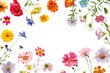 © Rawpixel.com - PNG Colorful flowers on white background