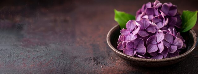 Canvas Print -  A wooden table holds a bowl overflowing with violet blooms, near a lush, green plant adorned with leaves