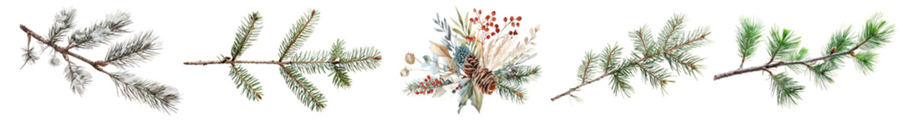 Wall Mural - Pine cone branch png cut out element set