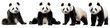 © Rawpixel.com - Panda wild animal png cut out element set