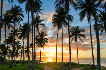 Sticker - Tropical beach