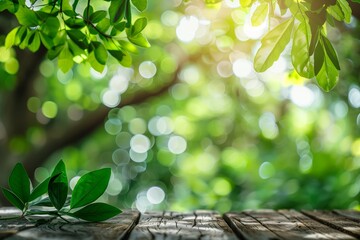 Wall Mural - Lush Green Leaves Over a Wooden Table Surrounded by Soft Natural Light in the Forest