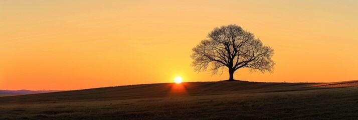 Sticker - Golden Hour Sunset in Rural Setting with Solitary Tree Silhouette