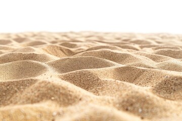 Poster - Close-up view of sandy beach texture with small rocks and shells