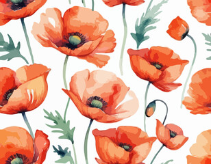 Wall Mural - Poppy flowers watercolor illustration isolated on white background