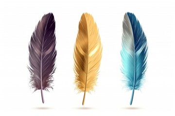 Poster - Close-up of three differently colored feathers on a white surface