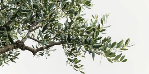 Poster - A bird sits peacefully on a branch of a tree, surrounded by leaves and twigs