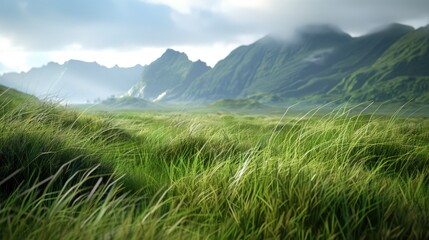 Poster - A serene scene of a lush green meadow surrounded by majestic mountains