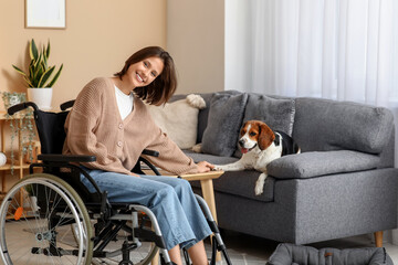 Sticker - Young pretty woman in wheelchair with cute Beagle dog at home