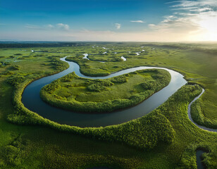 Wall Mural - Aerial view of winding rivers through lush green marshland