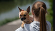 © Михаил Решетников - Young Caucasian woman holding a small dog in her hands.