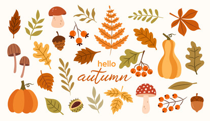 autumn vector botanical set of leaves, mushrooms, plants, branches, berries