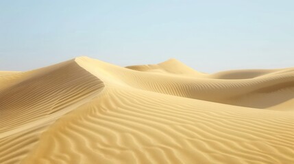 Wall Mural - Rippling Sand Dunes Under a Clear Sky