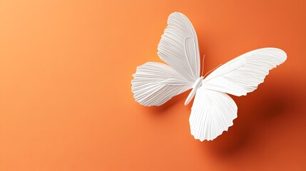 Wall Mural - Elegant White Butterfly Perched on Vibrant Orange Background