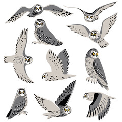 Wall Mural - vector drawing birds, great horned owl, hand drawn Bubo virginianus , isolated nature design element