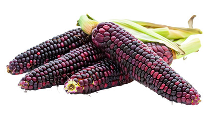 purple corn