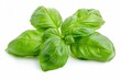 © Vlad - Basil Leaves Isolated on White Background. Fresh Green Herb for Organic Cooking