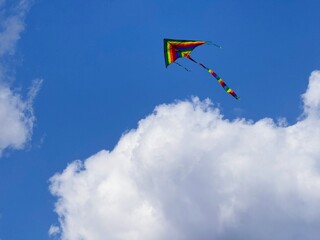 Poster - Colorful kite flying in the heaven above clouds