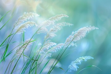 Wall Mural - grass in the wind