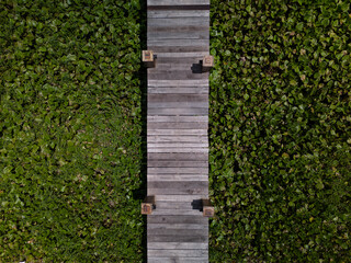 Wooden walkway or jetty over water hyacinth or water plants from top down aerial view on sunny day in landscape format.