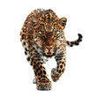 © Nuria - 'Intense Image of a Leopard in Attack Mode, Isolated on Transparent Background'