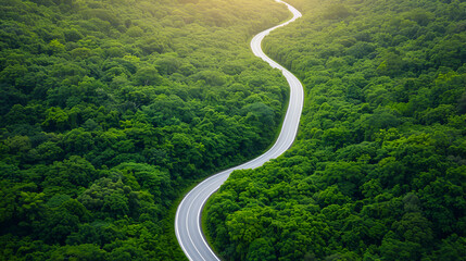 Sticker - Winding Road Through Lush Green Forest - Perfect for Travel and Adventure Photography