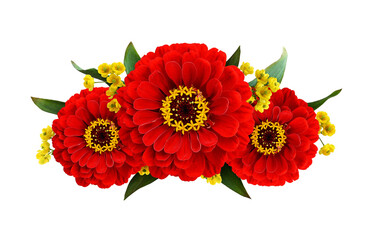 Wall Mural - Red zinnia  flowers in a line floral arrangement isolated on white or transparent background