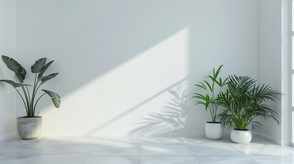 Canvas Print - Modern Indoor Space Featuring Elegant Plants and Natural Light in Bright Minimalist Room